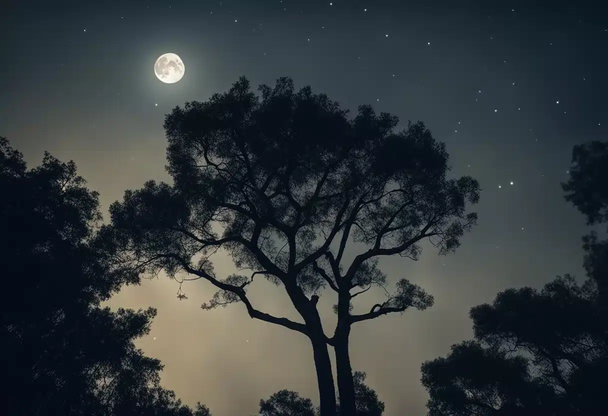 A serene night sky with a full moon shining down on a peaceful forest, where the Griffonia Simplicifolia plant grows abundantly, surrounded by a sense of tranquility and deep sleep