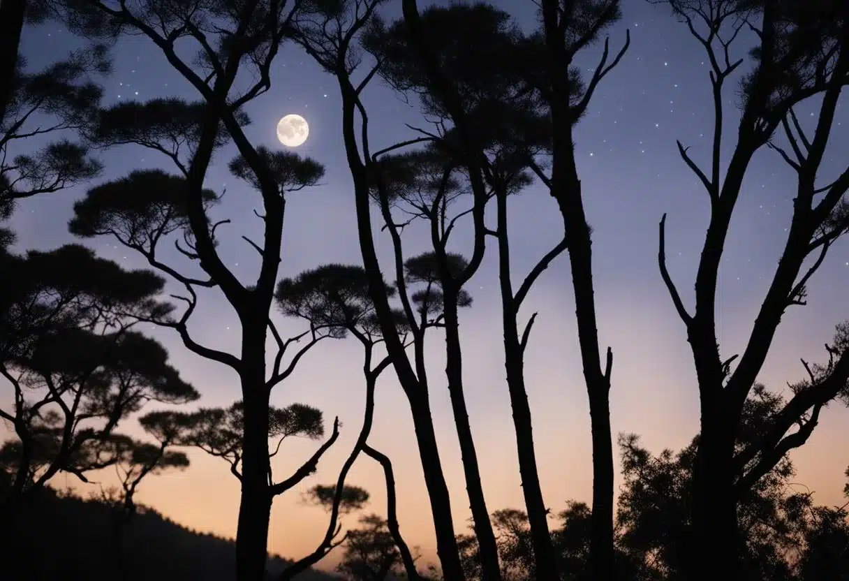 A serene night sky with a full moon shining down on a peaceful forest, with a silhouette of a Griffonia Simplicifolia plant in the foreground